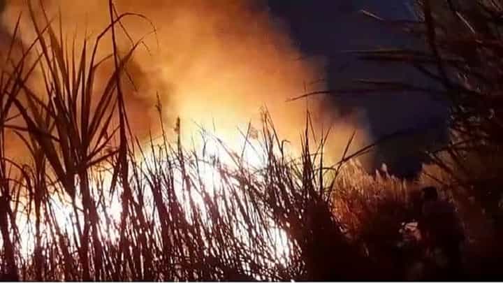 शॉर्ट सर्किटमुळे 30 ते 35 एकरातील ऊस जळून खाक शॉर्ट सर्किटमुळे 30 ते 35 एकरातील ऊस जळून खाक