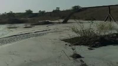 Nagpur Pollution | महाजनकोच्या प्रदूषणाची नितीन गडकरींकडून दखल; व्यवस्थापकीय संचालकांना लिहिले पत्र