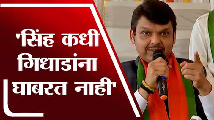 सिंह कधी गिधाडांना घाबरत नाही, Devendra Fadnavis यांचा ShivSena ला टोला सिंह कधी गिधाडांना घाबरत नाही, Devendra Fadnavis यांचा ShivSena ला टोला
