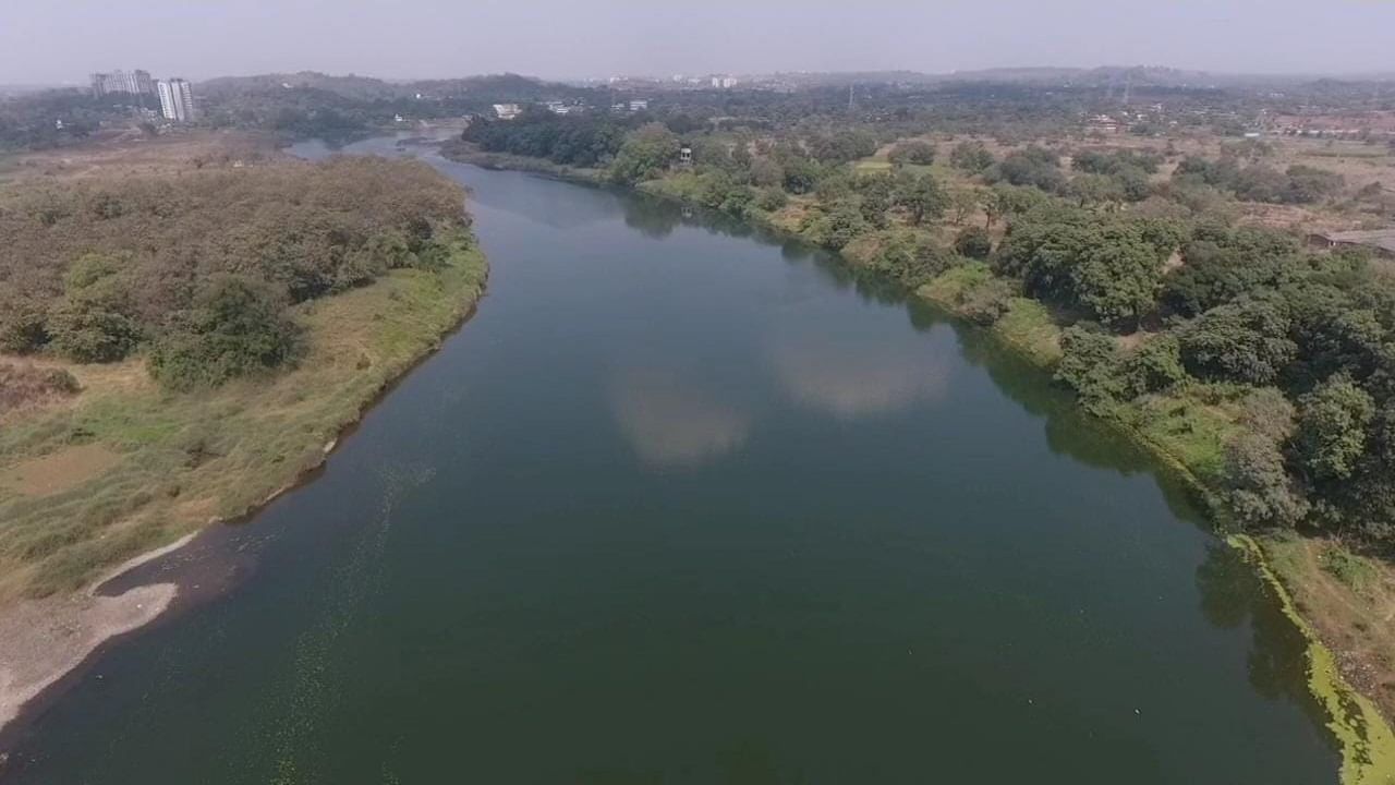 Ulhas River : अखेर उल्हास नदी जलपर्णीमुक्त झाली, जिल्हाधिकारी राजेश नार्वेकर यांच्याकडून पाहणी