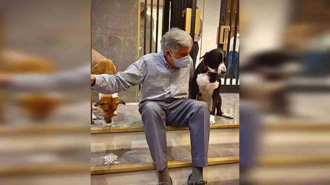 Ratan Tata यांचा तो कुत्रा, मिटिंगमध्येही असतो सोबत, मनोरंजक कथा Viral; वाचा सविस्तर