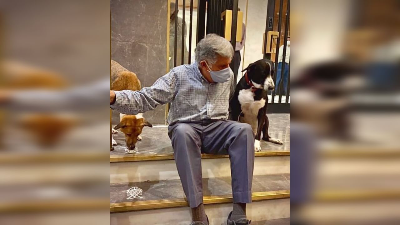 Ratan Tata यांचा 'तो' कुत्रा, मिटिंगमध्येही असतो सोबत, मनोरंजक कथा Viral; वाचा सविस्तर