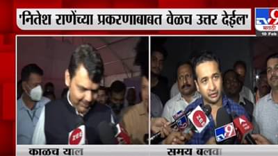 Nitesh Rane : दुपारी आजारी असणारे नितेश राणे मोदींच्या सभेत पहिल्या रांगेत, फडणवीसांनी का थोपटली पाठ?