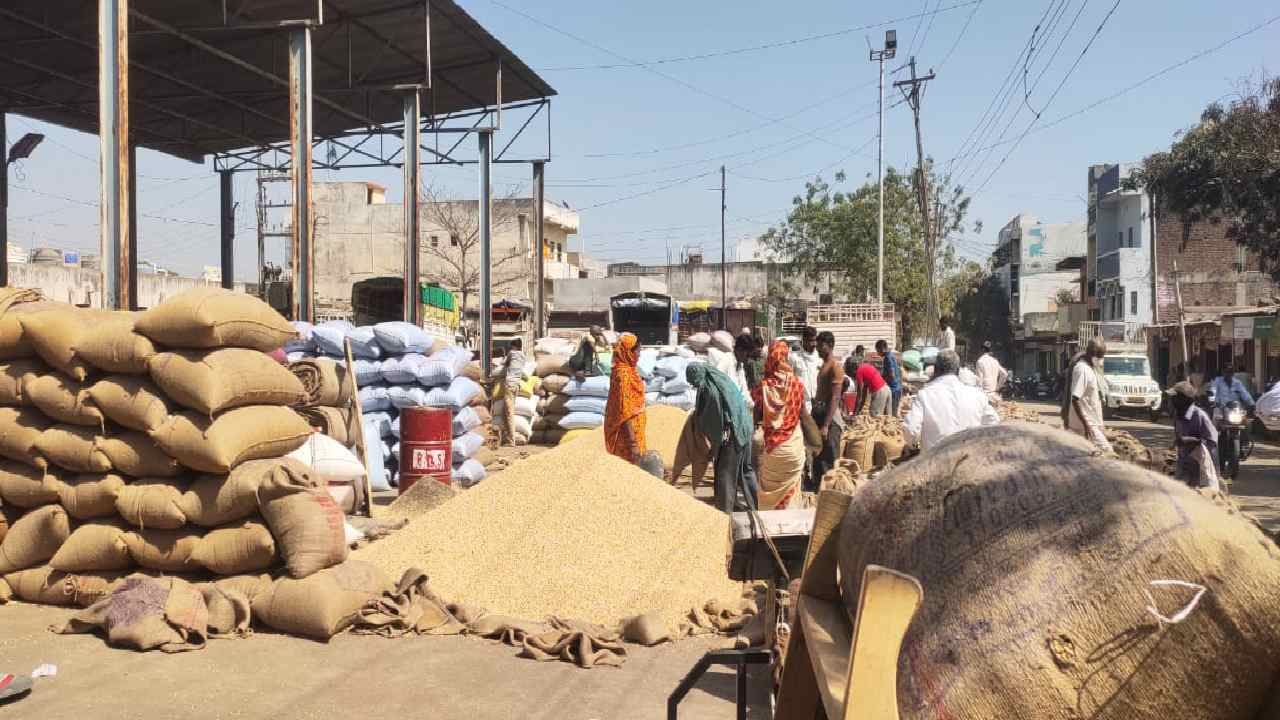 Latur Market : सोयाबीन दोन दिवस स्थिरवाल्यानंतर पुन्हा दरात घसरण, तुरीला मात्र हमीभावाप्रमाणे दर