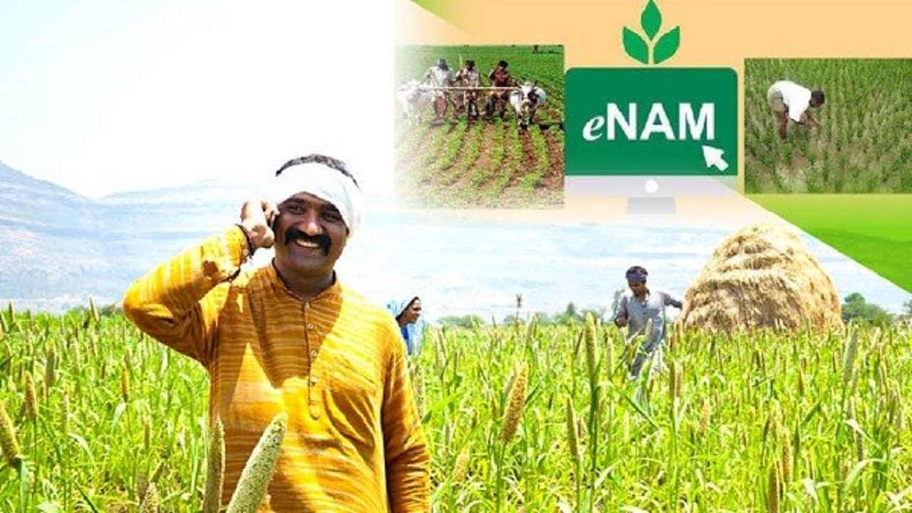 e-NAM : शेतकऱ्यांना आता एकाच छताखाली सर्व सुविधा, बियाणांपासून बाजारपेठेपर्यंतची सर्व माहिती एकाच अॅपवर
