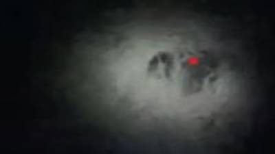 Video - नागपूर सीमेलगतच्या गावात शिरले अस्वल; रात्रीच्या अंधारात शिकारीचा बेत?, वनविभागाची शोधमोहीम