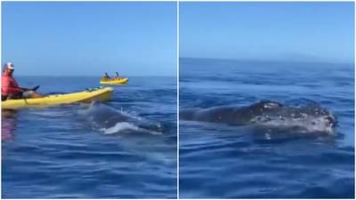 Shocking sea water video : समुद्रातल्या पाण्यात Enjoy करत होते Ride, तेवढ्यात अचानक...