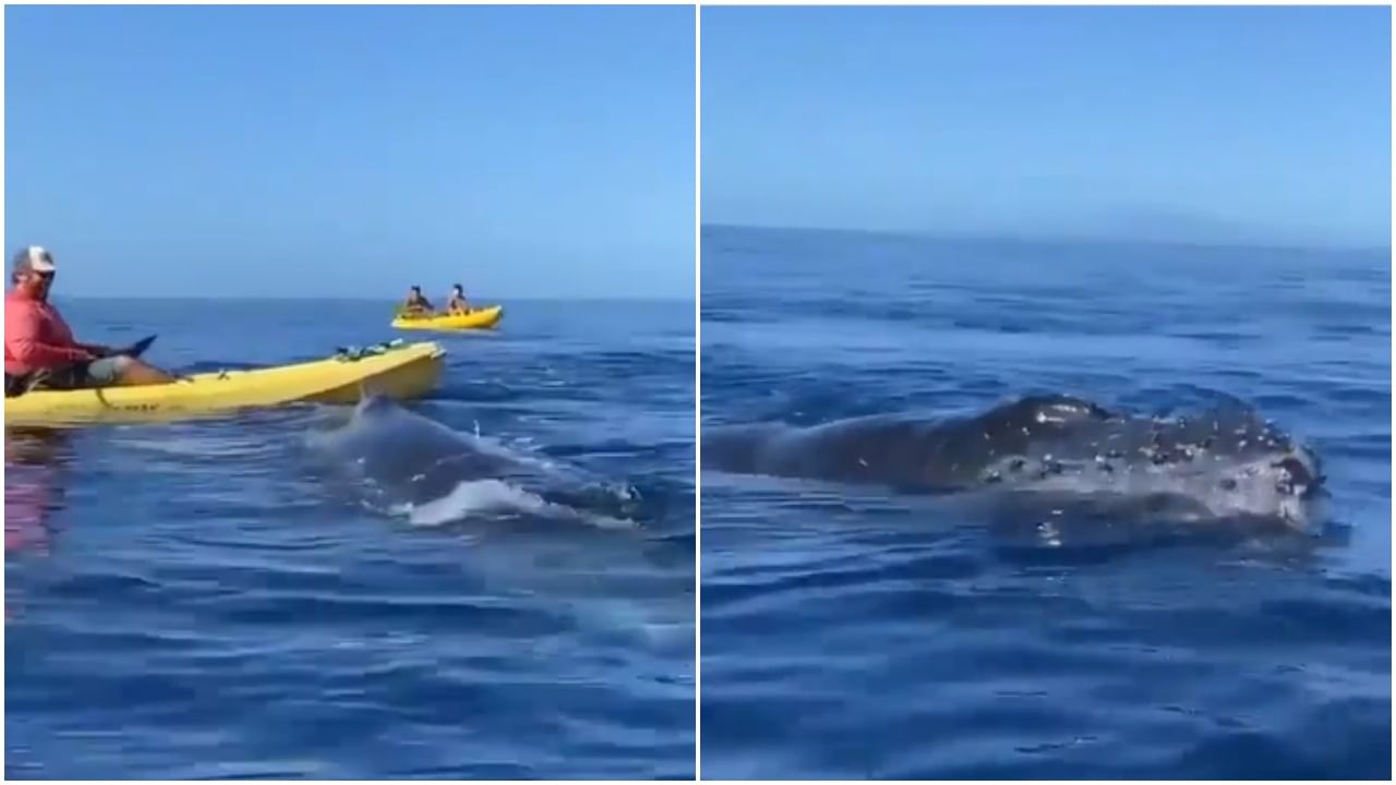 Shocking sea water video : समुद्रातल्या पाण्यात Enjoy करत होते Ride, तेवढ्यात अचानक...