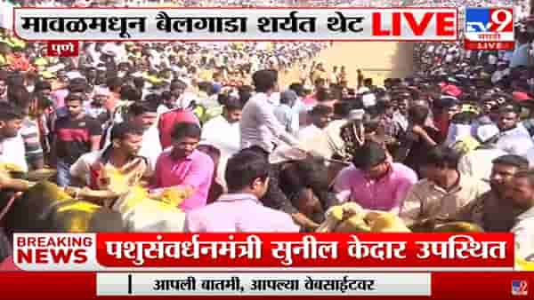 हुर्ररररर… पुण्याच्या Maval, Ambegaon तालुक्यात बैलगाडा शर्यती