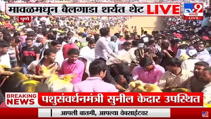 हुर्ररररर... पुण्याच्या Maval, Ambegaon तालुक्यात बैलगाडा शर्यती हुर्ररररर... पुण्याच्या Maval, Ambegaon तालुक्यात बैलगाडा शर्यती