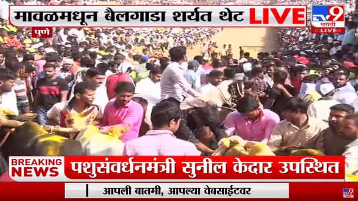 हुर्ररररर... पुण्याच्या Maval, Ambegaon तालुक्यात बैलगाडा शर्यती हुर्ररररर... पुण्याच्या Maval, Ambegaon तालुक्यात बैलगाडा शर्यती
