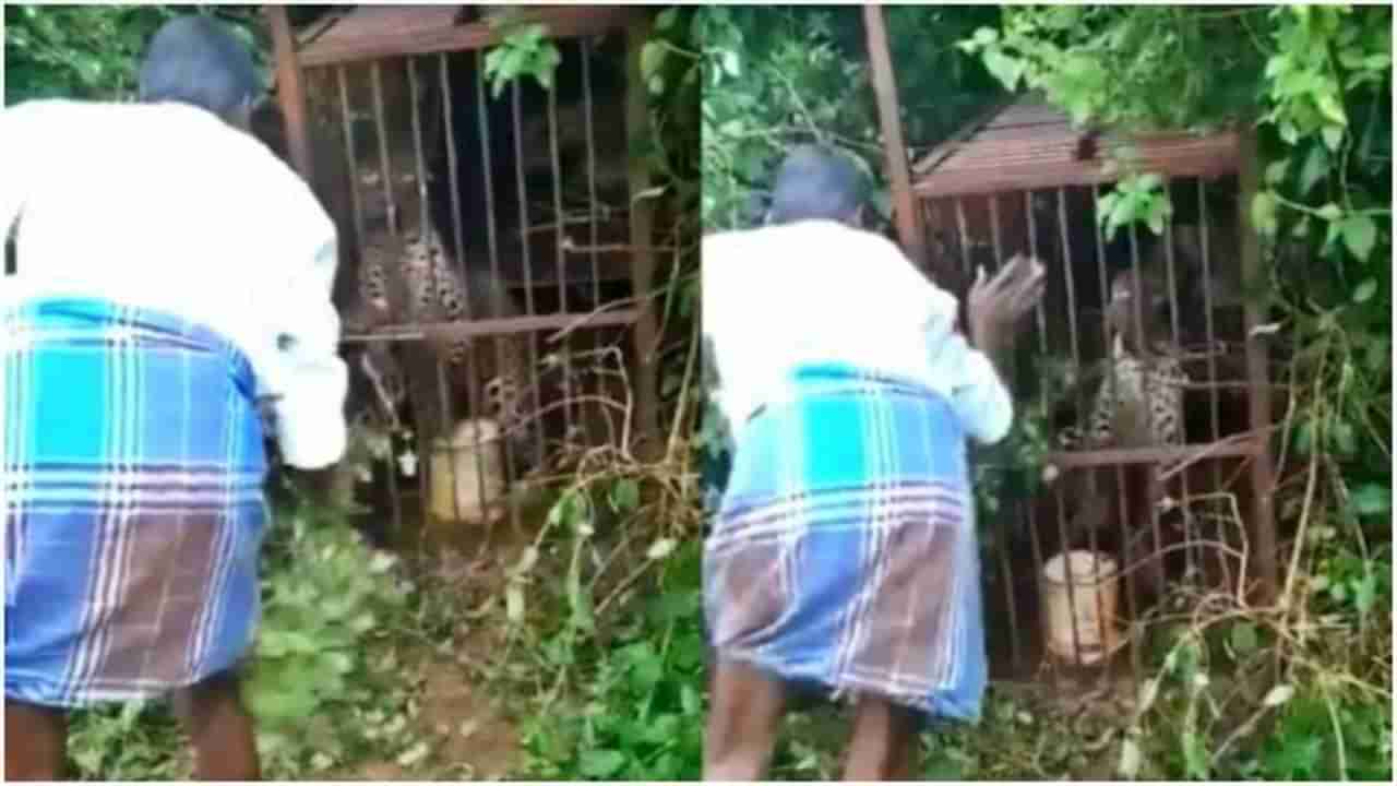 Leopard viral video : सोशल डिस्टन्सिंगचं पालन इथंही गरजेचं, अन्यथा जीवही जाऊ शकतो!