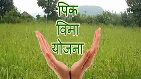 Kharif Crop Insurance: 2020 चा पीकविमा मंजूर, विमा कंपन्यांनी अंमलबजावणी केली नाही तर जबाबदारी कुणाची?