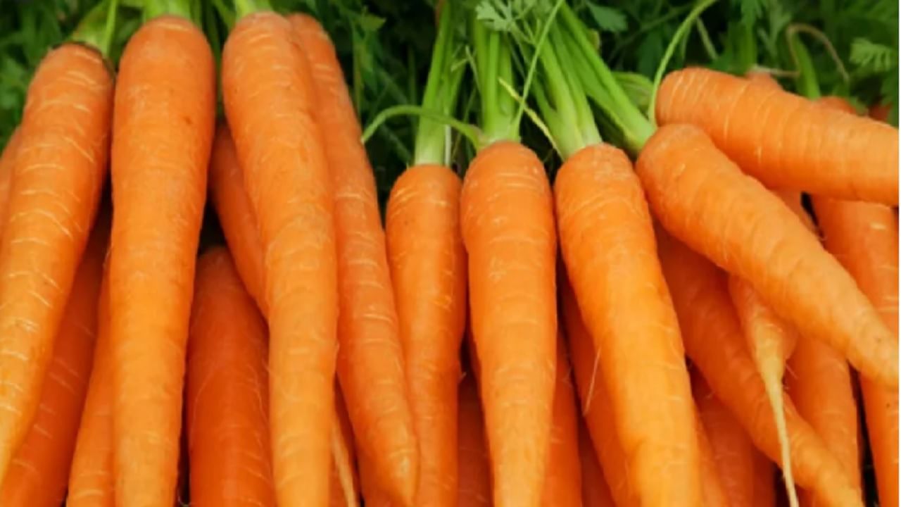 गाजर हिवाळ्यात मुबलक प्रमाणात असते. जर तुम्ही तुमच्या दैनंदिन आहारात गाजराचा समावेश केला तर ते अधिक फायदेशीर राहिल. 100 ग्रॅम गाजरमध्ये सुमारे 4.8 ग्रॅम साखर असते. यामुळेच दररोजच्या आहारामध्ये गाजराचा समावेश करायला हवा. 