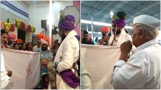 Viral : अबब..! माणसांबरोबर सापाचाही विमानप्रवास, ‘हा’ Video पाहून दरदरून घाम फुटेल!