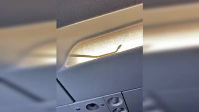 Viral : अबब..! माणसांबरोबर सापाचाही विमानप्रवास, हा Video पाहून दरदरून घाम फुटेल!