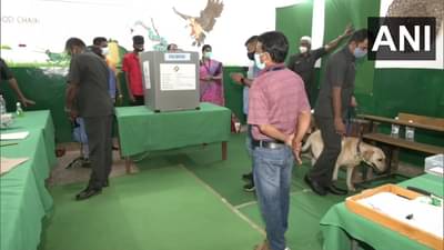 Assembly Election Voting 2022 : उत्तर प्रदेशमध्ये दुसऱ्या टप्प्यात 55 जांगासाठी मतदान, गोवा उत्तराखंडमध्ये मतदारांचा कौल मतपेटीत बंद होणार