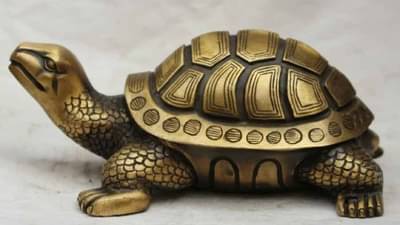 Feng Shui ideas | फेंगशुई कासव घरात ठेवा, पैशाची कमतरता कधीही भासणार नाही!