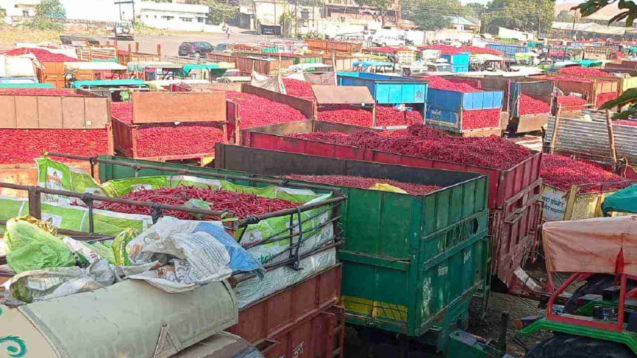 Nandurbar Market: मिरची बाजारात तेजी, विक्रमी दर मिळून होईल का नुकसानाची भरपाई?