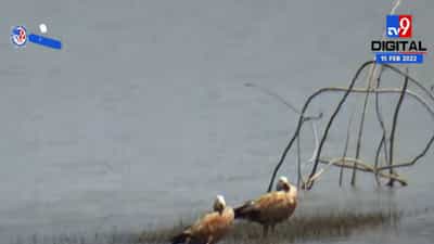 लडाख येथील स्थलांतरित जोडप्याचे भंडारा येथे मुक्काम