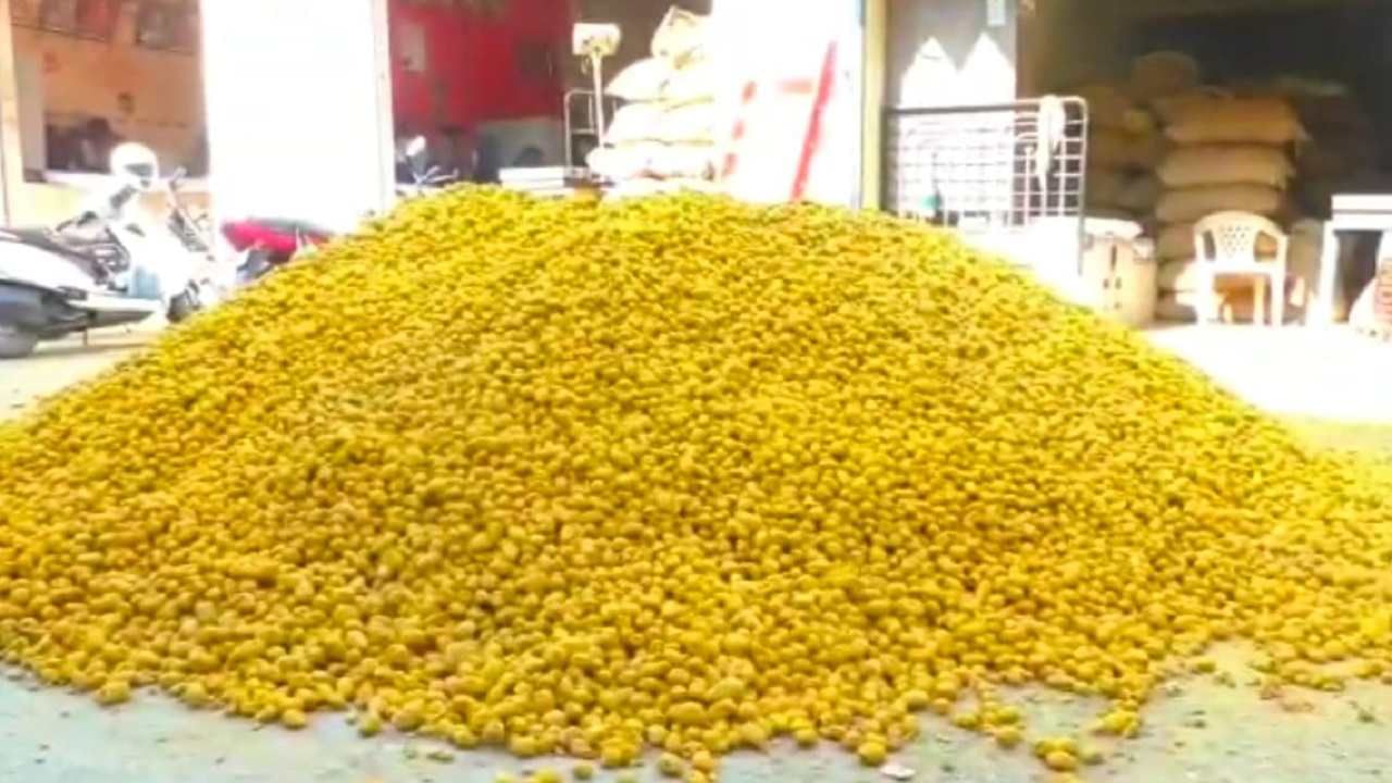 Turmeric : आवक वाढताच हळदीचा रंग 'फिक्कट', मुख्य बाजारपेठेत घसरले दर