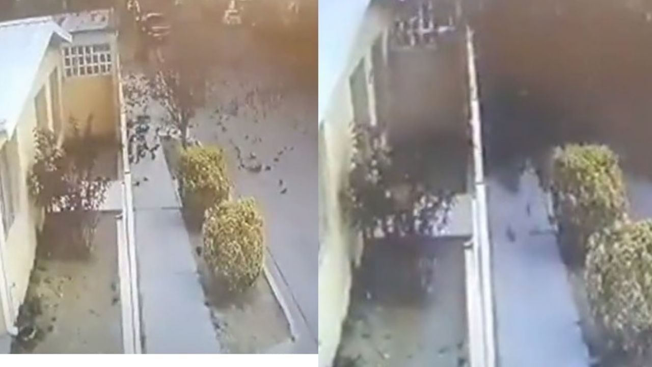 VIDEO : हे काय आक्रित घडलं? आकाशातील हजारो पक्षी जमिनीवर धडाधडा कोसळले... काळजाचा ठोका चुकवणारा व्हिडिओ VIDEO : हे काय आक्रित घडलं? आकाशातील हजारो पक्षी जमिनीवर धडाधडा कोसळले... काळजाचा ठोका चुकवणारा व्हिडिओ