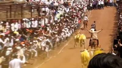 watch Video | ... आणि कोल्हेंनी शब्द पाळला, घोडीवर मांड टाकली, बैलगाडी शर्यतीत रुबाबदार एन्ट्री