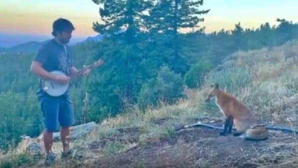 कोल्हाही घेतोय बँजोच्या सुरांचा आनंद, 1 कोटींहून जास्तवेळा पाहिला गेलाय हा Viral Video