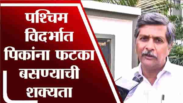 पश्चिम विदर्भात हलक्या सरीचा पाऊस
