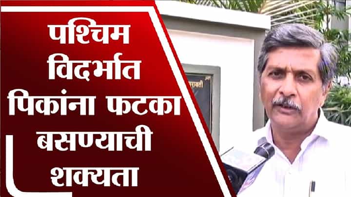 पश्चिम विदर्भात हलक्या सरीचा पाऊस पश्चिम विदर्भात हलक्या सरीचा पाऊस