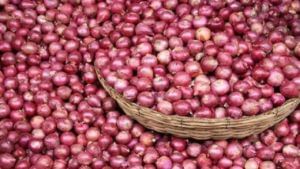 Onion Export : निर्यातदारांना आता उन्हाळी हंगामातील कांद्याची प्रतिक्षा, लाल कांद्याचा काय आहे 'वांदा' ?