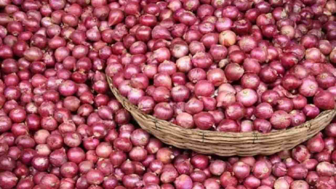 Onion Export : निर्यातदारांना आता उन्हाळी हंगामातील कांद्याची प्रतिक्षा, लाल कांद्याचा काय आहे वांदा ?