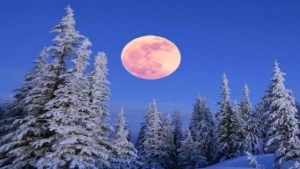 Moon | चंद्राच्या प्रकाशात न्हाऊन निघालं जग, पाहा स्नो मूनचे खास फोटो