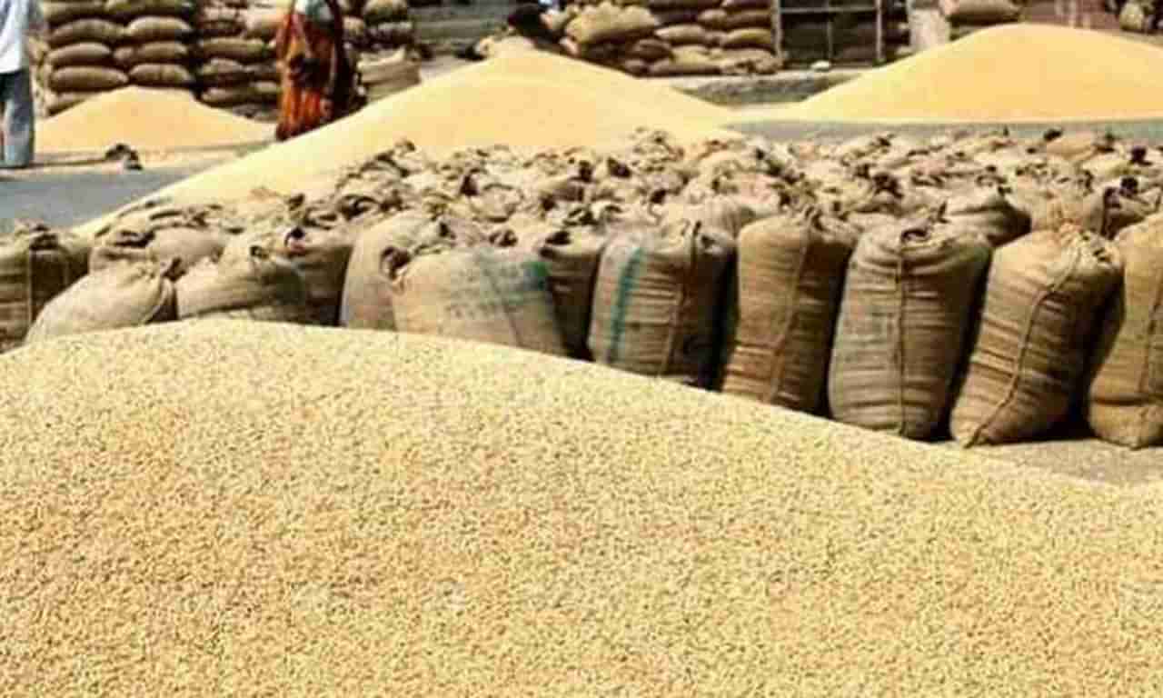 Latur Market : सोयाबीन दरातील चढ-उतारामुळे शेतकऱ्यांची द्विधा मनस्थिती, काय आहे बाजारपेठेतले चित्र?