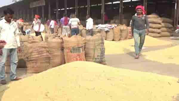 Latur Market : ढगाळ वातावरणाचा धसका, शेतीमालाचे आवक वाढली दराचे काय?