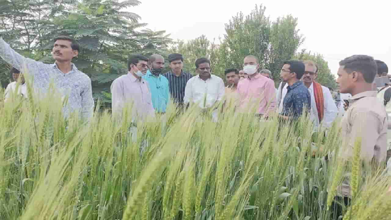 Organic Farming : केंद्राच्या सूचना अन् वाशिमच्या जिल्हाधिकाऱ्यांची अंमलबजावणी, केवळ सल्लाच नाही तर...