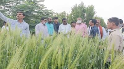 Organic Farming : केंद्राच्या सूचना अन् वाशिमच्या जिल्हाधिकाऱ्यांची अंमलबजावणी, केवळ सल्लाच नाही तर...