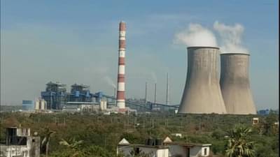 चंद्रपुरात वाघाची दहशत! कामगारांचा जीव गेल्यानंतर अखेर तीन वाघांना जेरबंद करण्याचे आदेश