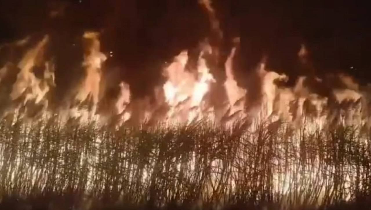 Photo : लुखामसल्यात लाखमोलाच्या ऊसाला आग, 12 एकरातील ऊस भस्मसात