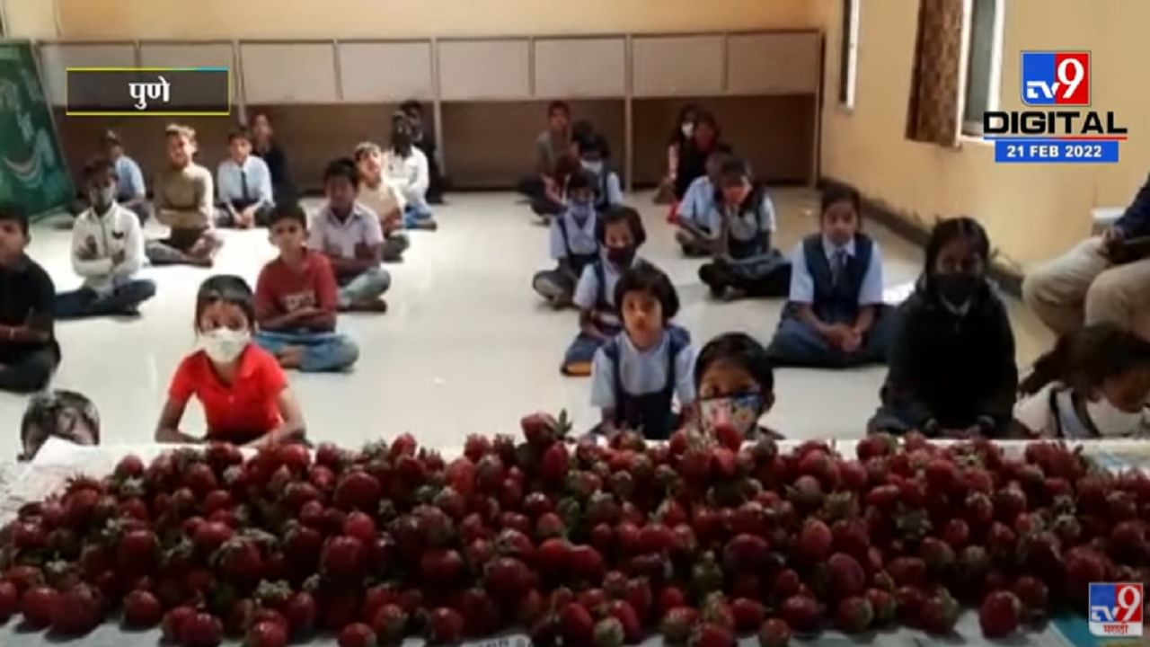 जिल्हा परिषद प्राथमिक शाळेत स्ट्रॉबेरी महोत्सवाचे आयोजन