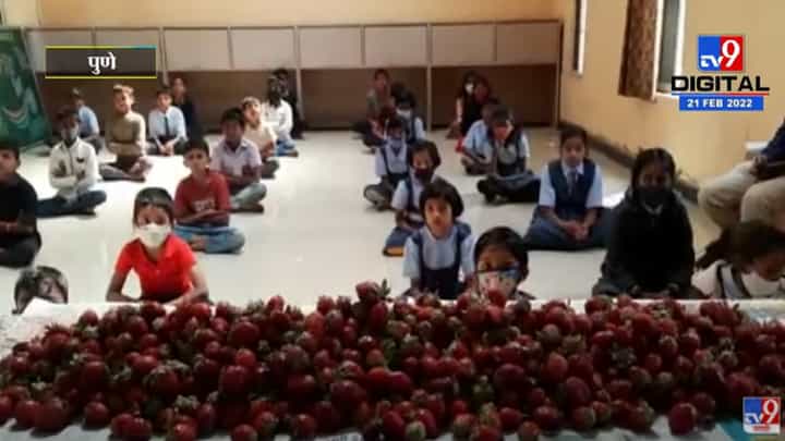 जिल्हा परिषद प्राथमिक शाळेत स्ट्रॉबेरी महोत्सवाचे आयोजन जिल्हा परिषद प्राथमिक शाळेत स्ट्रॉबेरी महोत्सवाचे आयोजन