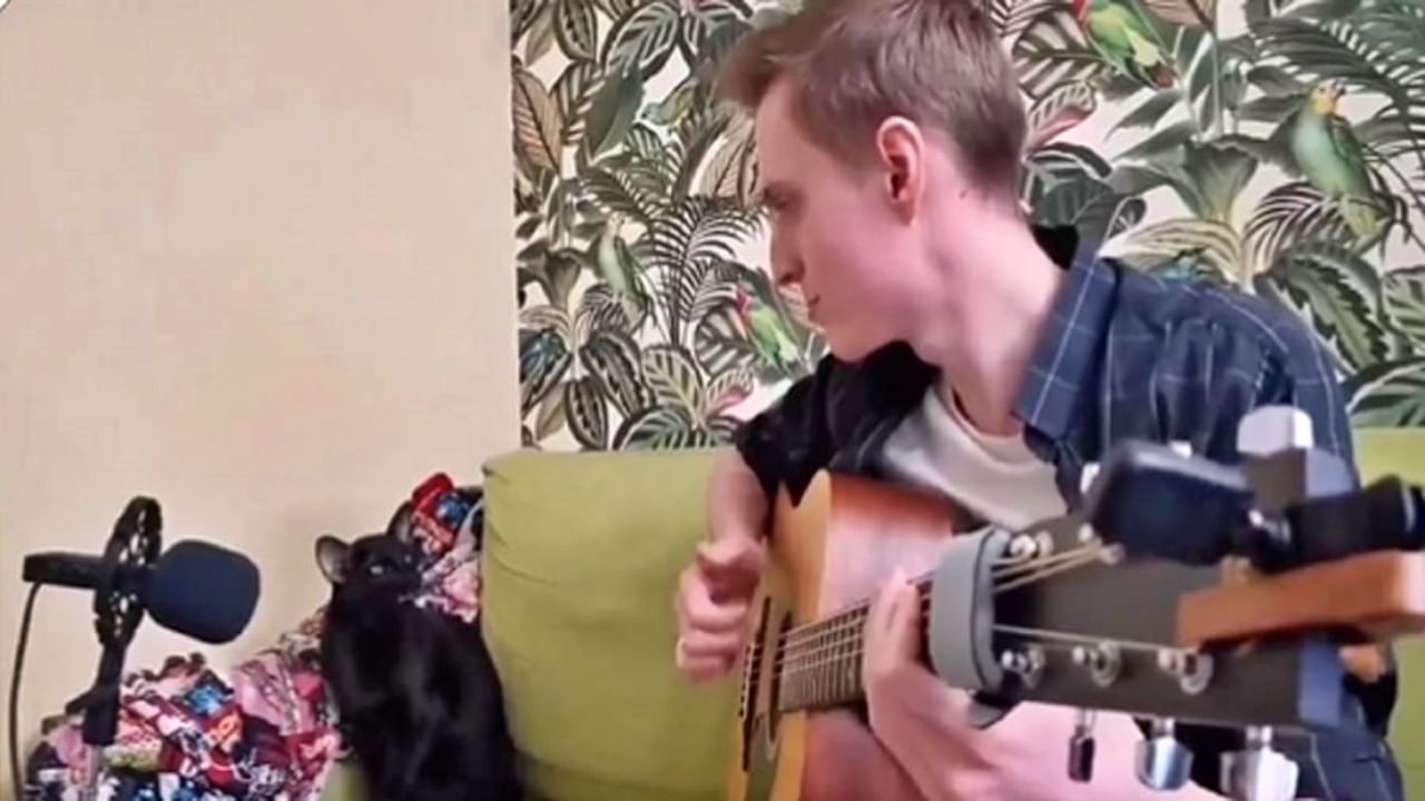 Cat cute video : साधंसुधं नाही, सुरातलं मॅव मॅव आहे हे..! मांजरीचं असं smart singing चुकवू नका! Cat cute video : साधंसुधं नाही, सुरातलं मॅव मॅव आहे हे..! मांजरीचं असं smart singing चुकवू नका!