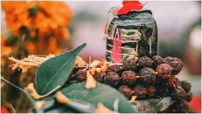 Maha Shivratri 2022 | महादेवाला बेलपत्रच का अर्पण करतात ? या मागचं कारण माहीत आहे का? जाणून घ्या रंजक माहिती