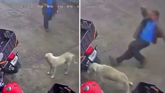 अतिशहाणा त्याचा... हे महाशय असं काही करायला गेले अन् धपकन् आपटले, Viral video पाहा