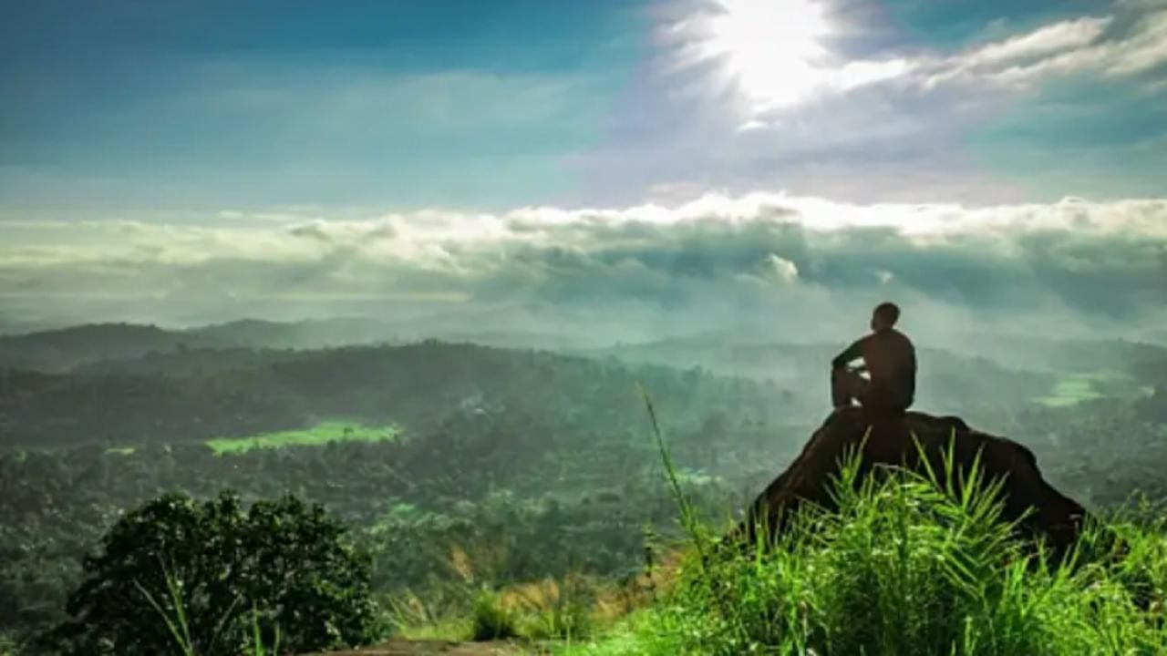 वायनाडला दक्षिण भारतातील सौंदर्याचा राजा म्हटले जाते. हिरव्या टेकड्या असलेले हे शहर सुंदर दृश्यांसह शांतता देते. 