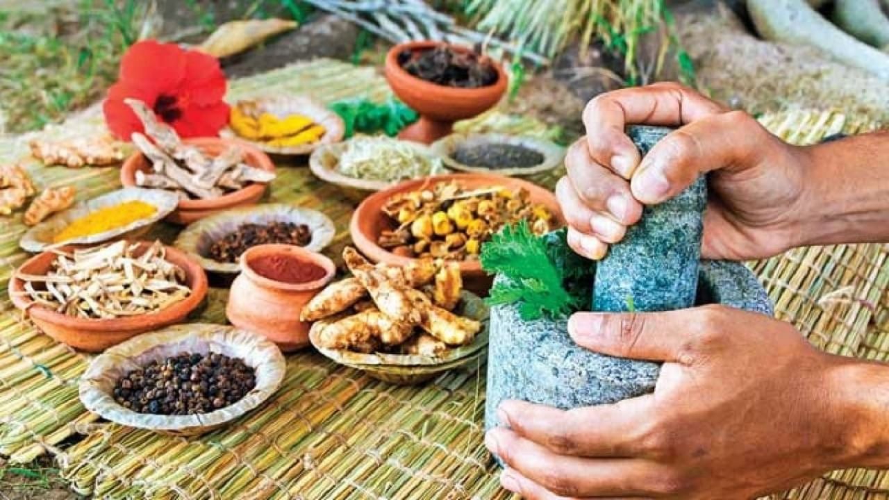 आयुर्वेदात (Ayurvedic ) गुळवेलीला विशेष महत्त्वं आहे. गिलोय, गुळवेल आणि गुडुची अशा नावांनी ओळखली जाते. कोरोना महामारीत गिलोय काढाला सर्वात अधिक महत्त्वं प्राप्त झालं. रोगप्रतिकारशक्ती (Immunity) वाढविण्यासाठी गिलोयचा फायदा होतो. तसंच अनेक रोगांसाठी या काढाचा उपयोग केला जातो. डॉक्टरांनीही अनेक आजारांसाठी रुग्णांना गिलोय काढाच्या सेवनाचा सल्ला दिला आहे. तर आयुष मंत्रालयानेही (Ayush Ministry)कोरोनाशी लढण्यासाठी गिलोयला मान्यता दिली.