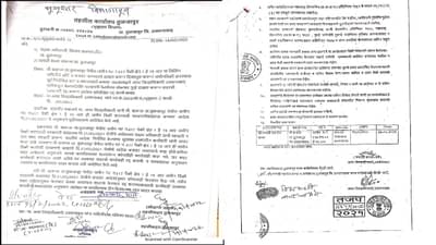 थेट अपर जिल्हाधिकाऱ्यांच्या सहीचा बोगस आदेश काढल्याने खळबळ, अधिकाऱ्यांना कसं गंडवलं?