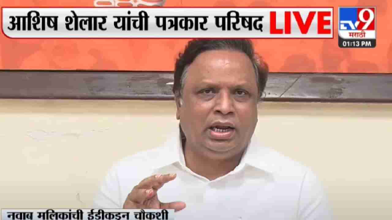 Ashish Shelar on Nawab Malik | पवारसाहेब मोठे नेते, त्यांना आम्ही काय सांगणार! पण...