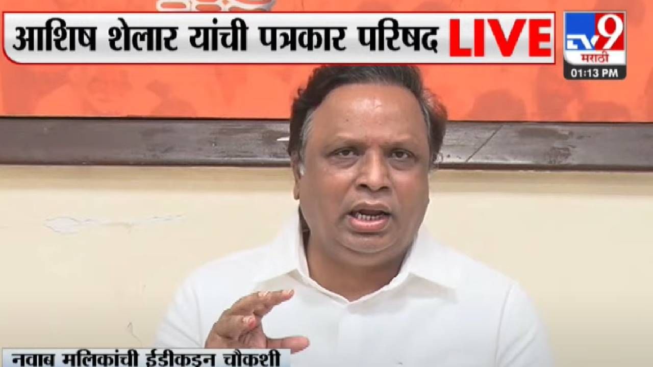 Ashish Shelar on Nawab Malik | 'पवारसाहेब मोठे नेते, त्यांना आम्ही काय सांगणार! पण...'