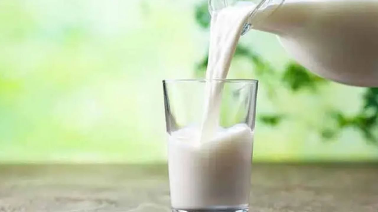 दूध हे उच्च दर्जाचे प्रथिन आहे. यामुळेच आपल्या दररोजच्या आहारामध्ये दूधाचा नक्की समावेश करा.